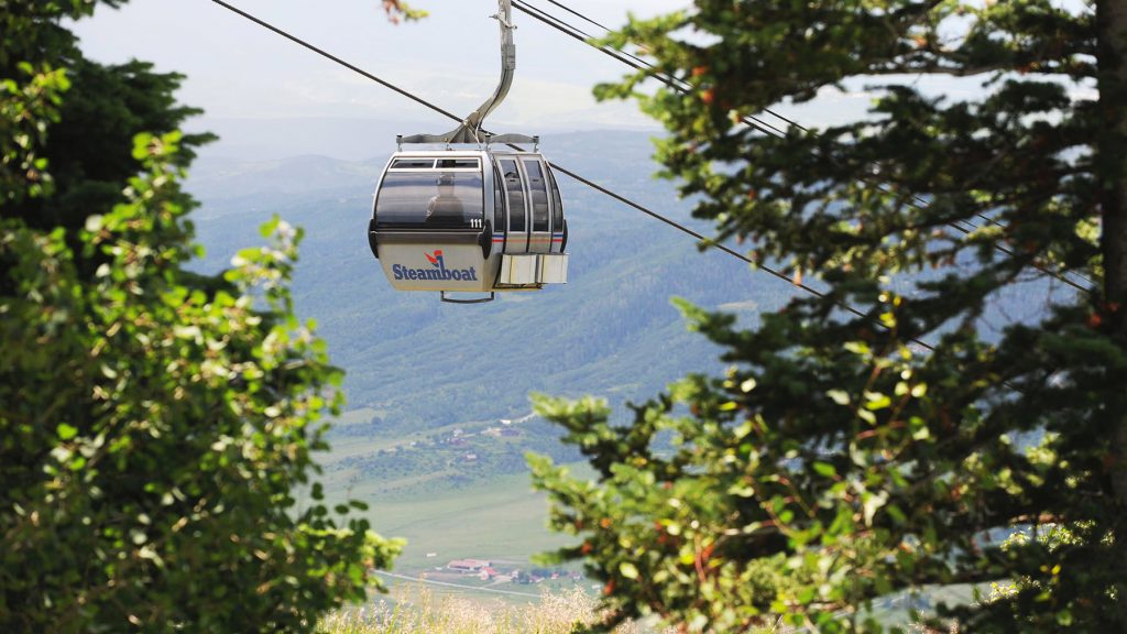 Steamboat Springs Wildflower Viewing Guide Steamboat Lodging Company